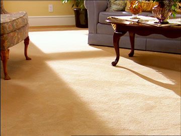 Allied Gardens Extreme Carpet Cleaners