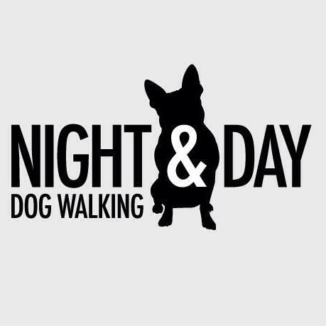 Cody Dog Walking Service