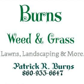 Burns Weed & Grass