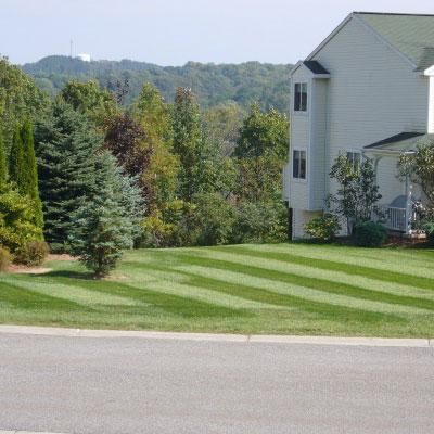 Syracuse Lawn & Maintenance