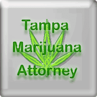 Tampa Marijuana Attorney can help you, a friend , 