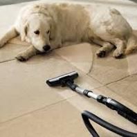 CARPET CLEANING PERRY
