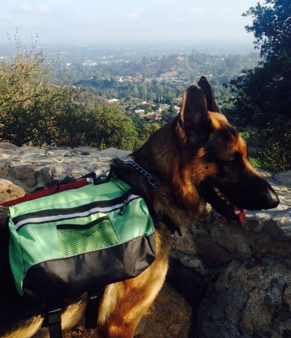 Hiking in Los Angeles 