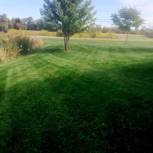 This is a lawn after we did a fall clean up!