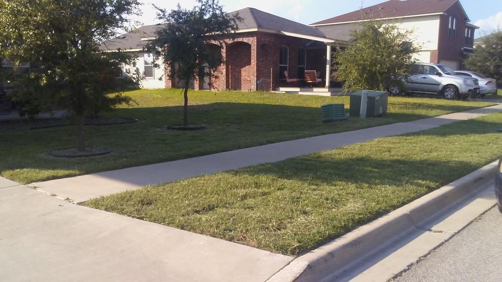 Clean professional cut edge and weeded