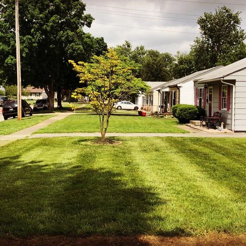 Little lawns deserve stripes too!