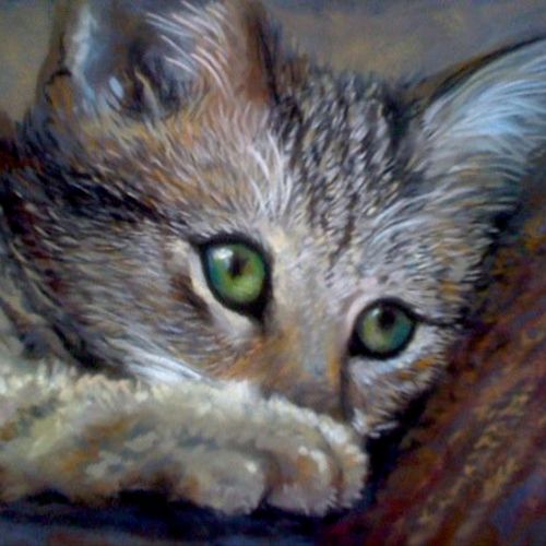 Tabby Kitten
8 x 5
soft pastel on suede matboard
