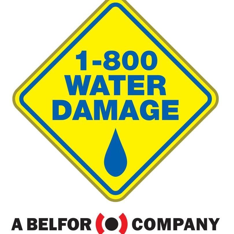 1-800 Water Damage of East Metro Columbia, SC