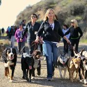 Pack walk! There is no better way to enhance your 