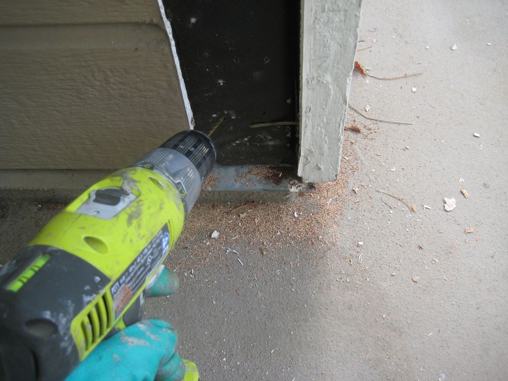 Drywood Termite Local Treatment.