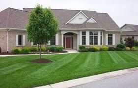 nicely cut lawns