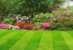 Frye Landscaping & Lawn Care