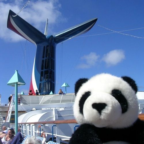My Traveling Panda on a cruise