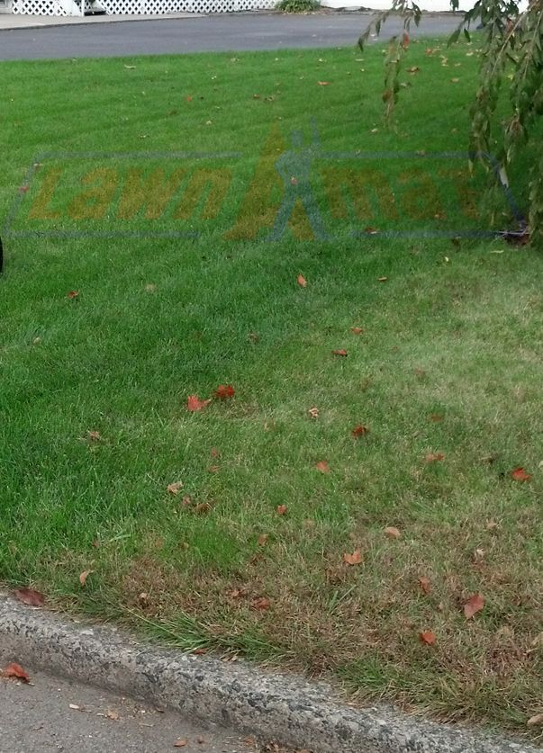 The Lawn A Mat difference between Lawn Care and ..