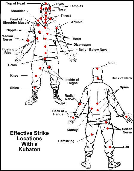 You will study all the major striking zones/vital 