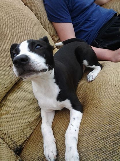 Zeus