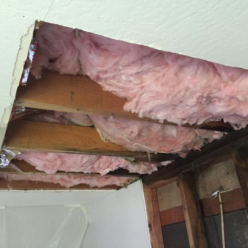 Insulation with water damage treatment 