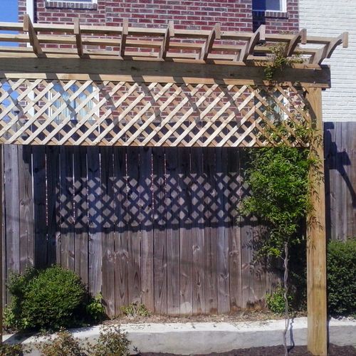 new trellis for wisteria and privacy