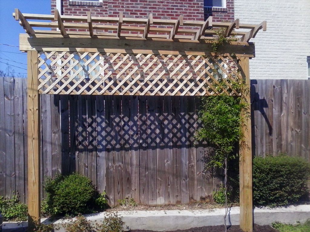 new trellis for wisteria and privacy
