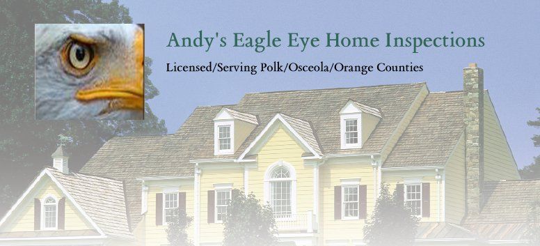 Andy.s Eagle Eye Home Inspections,LLC