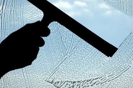 Window Cleaning - Denver Green Cleaner