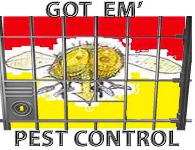 We do pest control the old fashion way!
