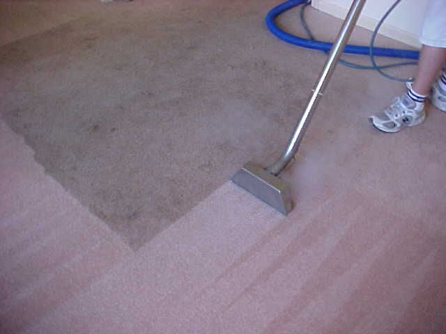 Carpet Cleaning