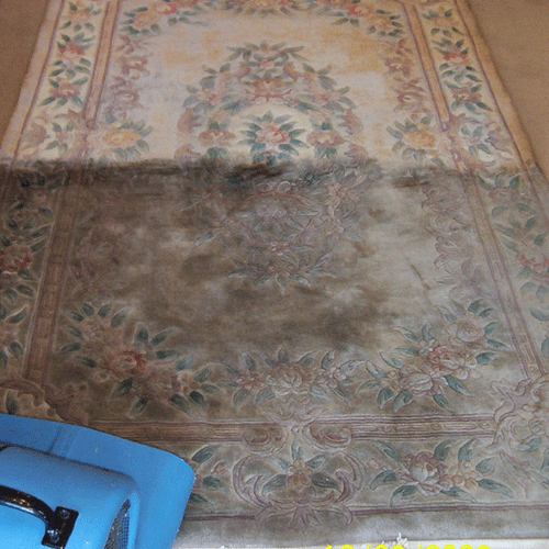 rug cleaning