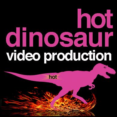 Hot Dinosaur Digital Marketing Agency