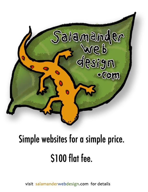Salamander Web Design
