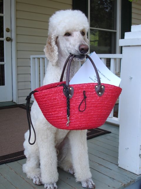 I'm ready for my class.....are you?