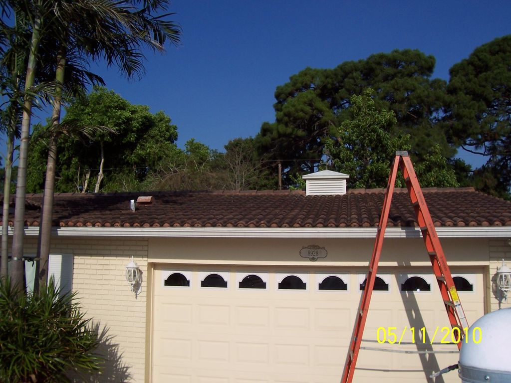 before roof cleaning