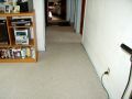 Dog Urine After