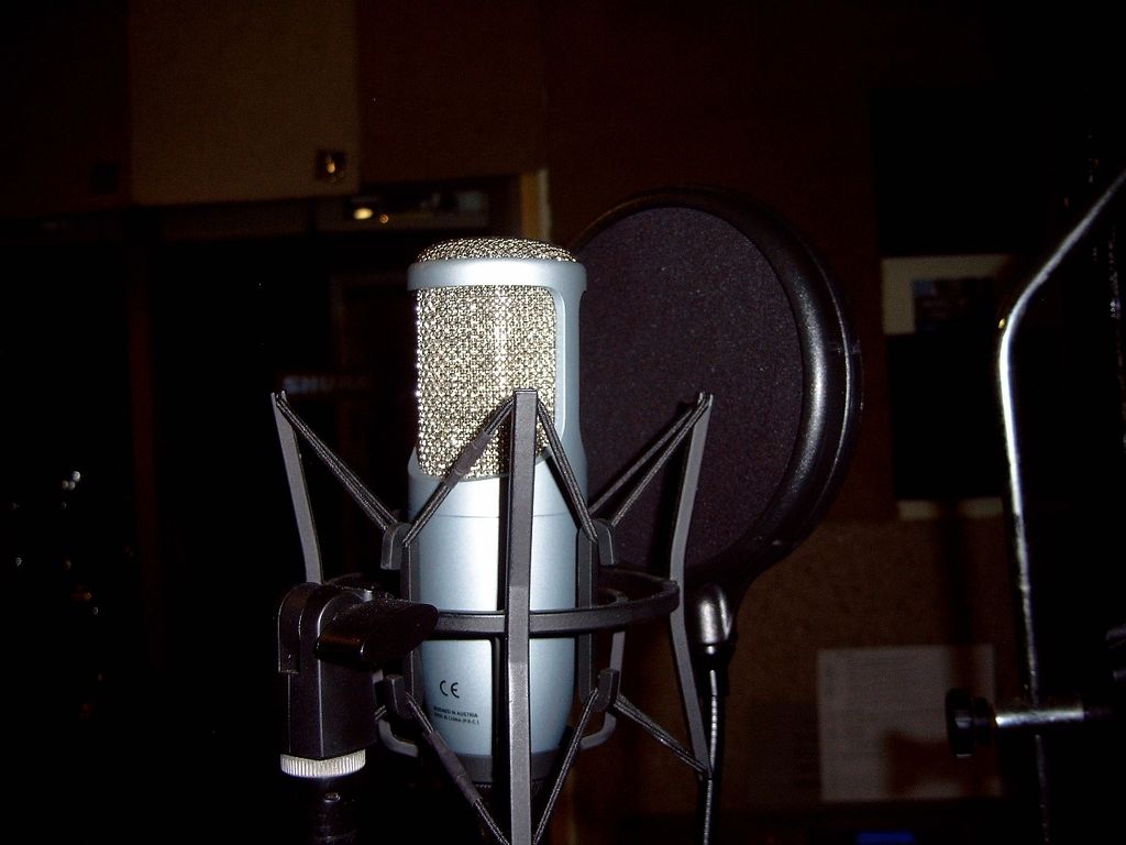 One of our many studio grade Microphones.
