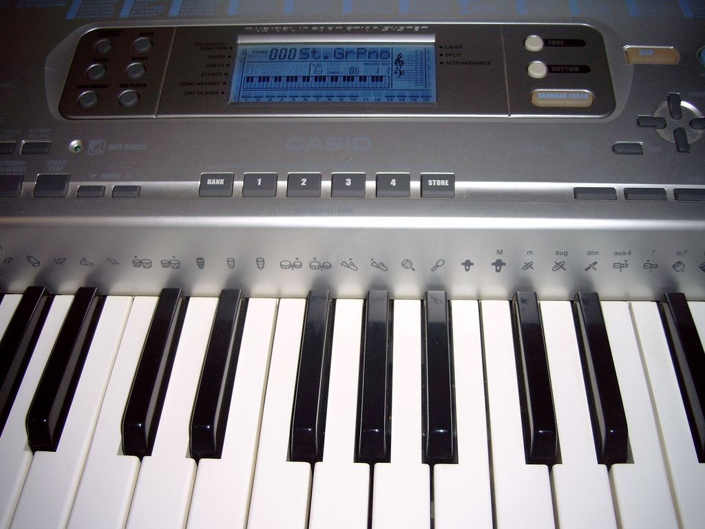 Our electronic piano/keyboard.
