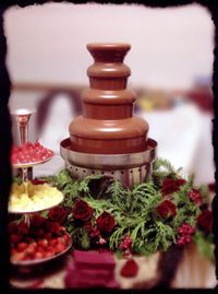 WE NOW HAVE A HUGE 5 TIER CHOCOLATE FOUNTAIN FOR 1
