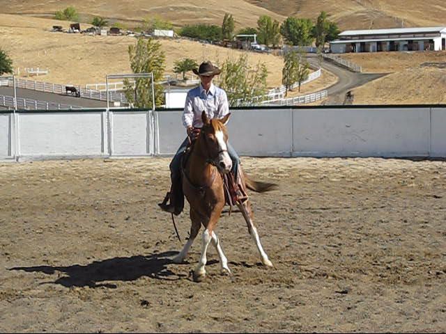 Pereira Ranch Lessons & Training