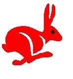 Rapid Rabbit Financial Services Inc.
