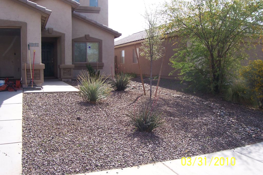 Landscape clean up