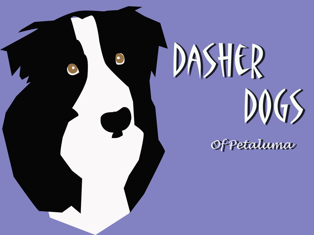 Dasher Dogs