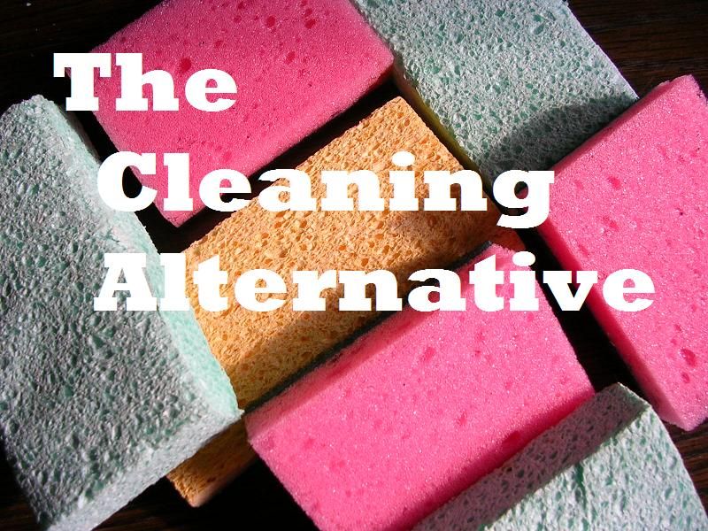 The Cleaning Alternative - Natural & Non-toxic ...