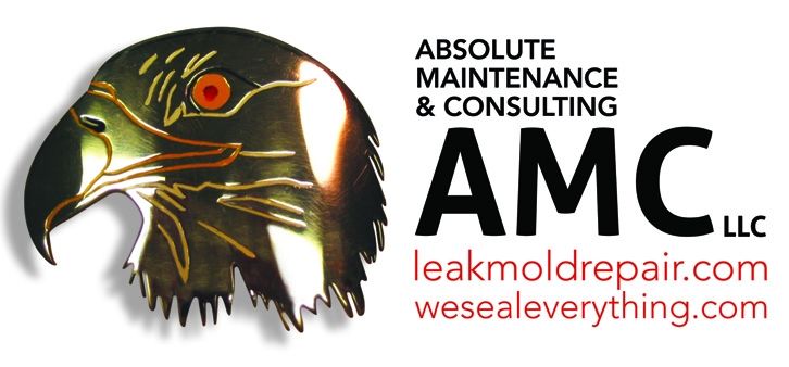 Absolute Maintenance and Consulting