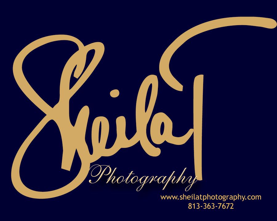 Sheila T Photography & More