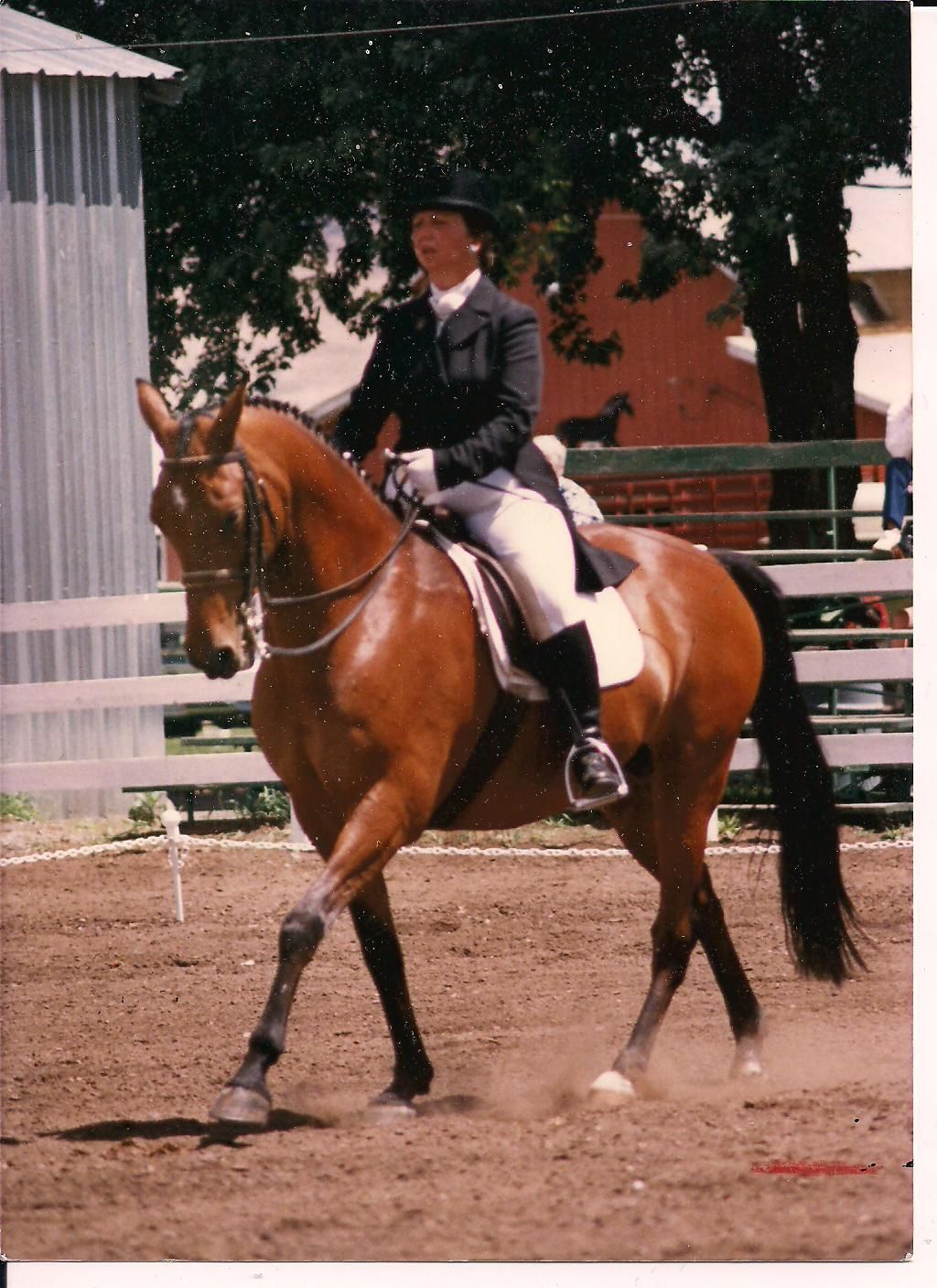 Longacre Stables & School of Horsemanship