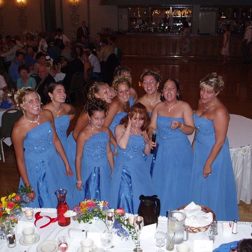 Wedding Party Brides-Maids in Blue...Awesome - 200