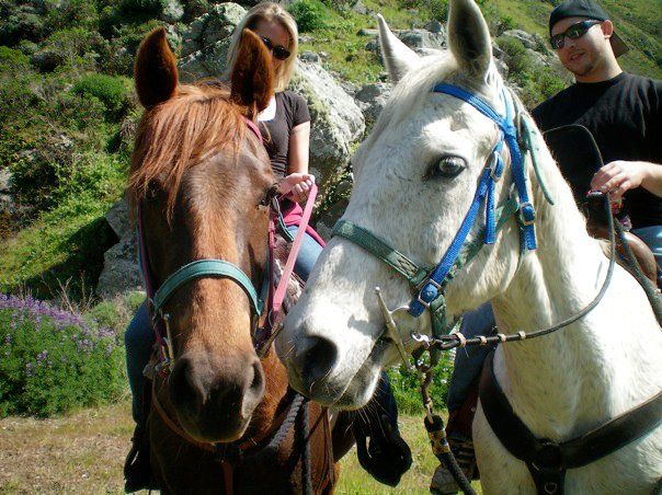 Chanslor Ranch (Horse N Around Trail Rides)