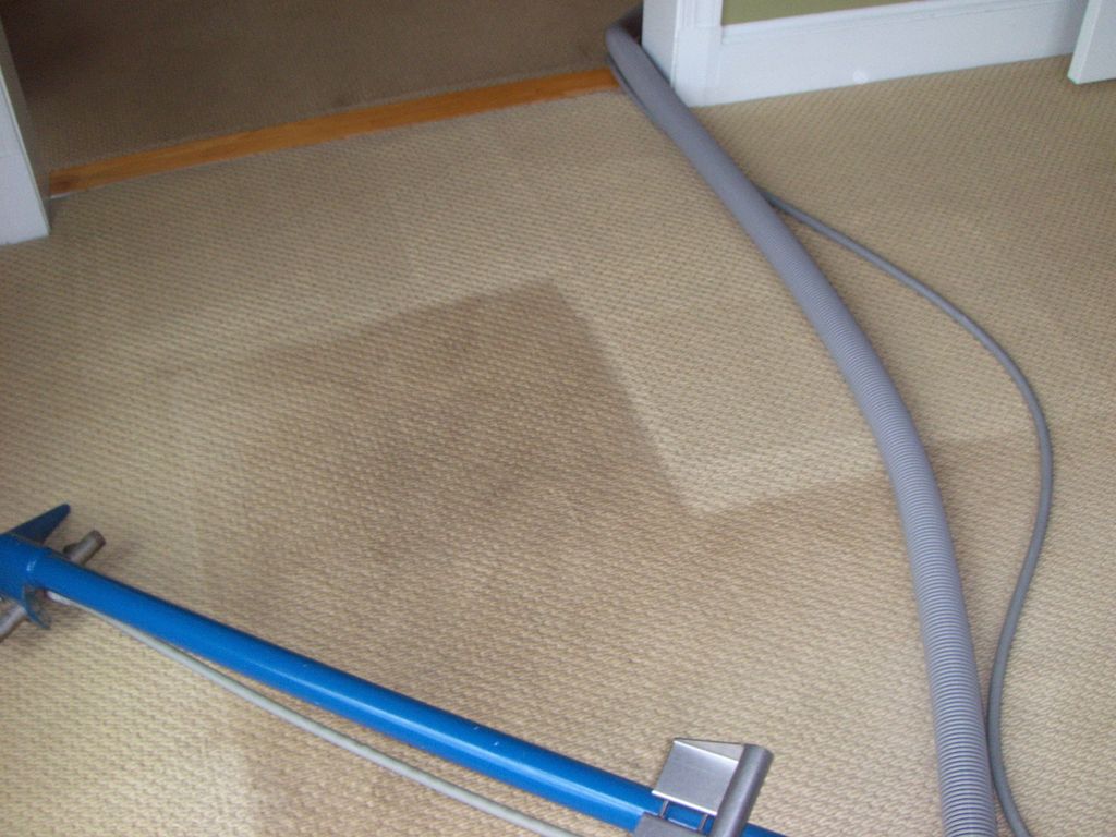 Steam-Rite Carpet Care
