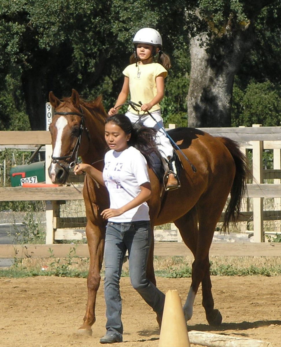 Beginner riders