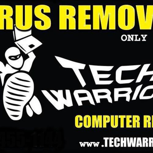 Computer Repair and Virus Removal in Rockford Buff