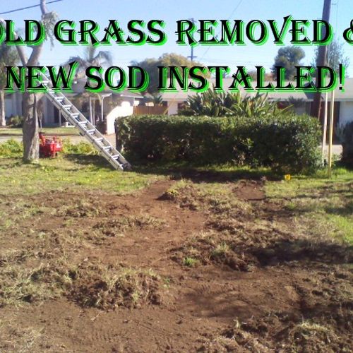 We can get rid of that old grass for you!